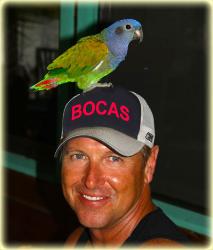 Bocas del Toro, Panama Parrot