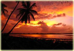 Bocas Seaview Condos sunset