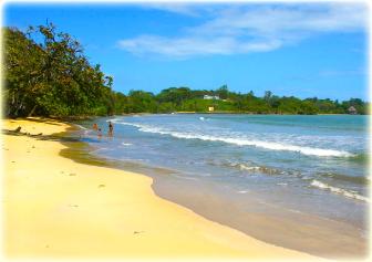 Bocas Seaview Condos beach